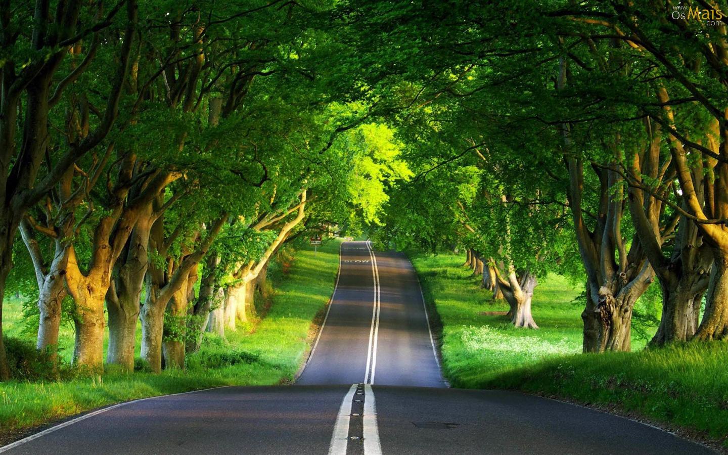 estrada verde